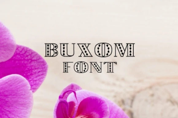 Buxom Bold Display Font for Brand Identity