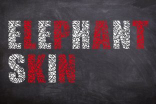 Elephant Skin Typeface for Editorial and Crafting Projects