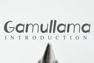 Gamullama: The Friendly Display Font for Approachable Branding