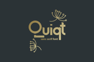 Quiqt Display Font: Abstract Branding for Modern Businesses