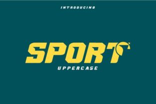 Sport Typeface: A Modern Display Font for Digital Branding